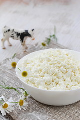 Cottage cheese in a bowl