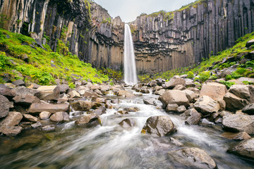 Island Svartifoss Wasserfall - obrazy, fototapety, plakaty