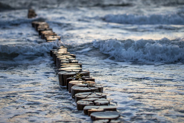 Fototapeta premium Bune im Meer im Sonnenaufgang