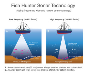Sonar signal systems are generally used underwater for range finding and detection. Active sonar emits an acoustic signal, or pulse of sound, into the deep underwater. Vector info graphic.