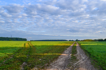Fototapeta na wymiar Two back roads go through a green field.