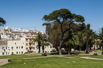 Fototapeta na wymiar Marocco: i giardini della Mendoubia con lo skyline della medina di Tangeri, città sulla costa del Maghreb all'ingresso occidentale dello Stretto di Gibilterra