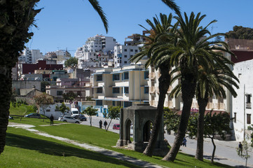 Marocco: i giardini della Mendoubia con lo skyline della medina di Tangeri, città sulla costa del...