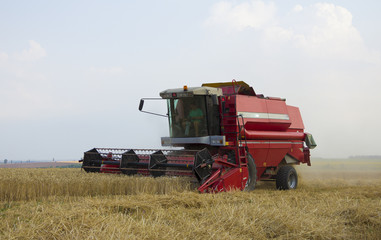 combine harvester on a wheat field with blue sky