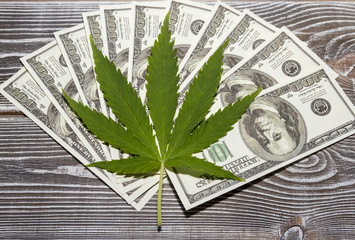 Element of a bill of the American dollar with a sheet of cannabis, marijuana. Money with a leaf of...