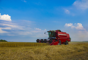 Obraz premium combine harvester on a wheat field with blue sky