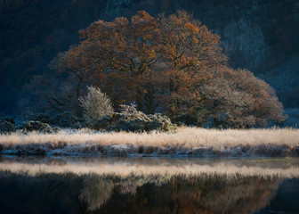 Frosty Morning