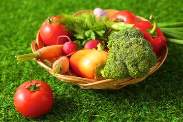 Fresh vegetables in a plate on the grass. Healthy food. Diet