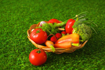 Fresh vegetables in a plate on the grass. Healthy food. Diet