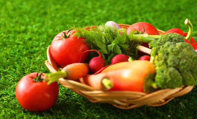 Fresh vegetables in a plate on the grass. Healthy food. Diet
