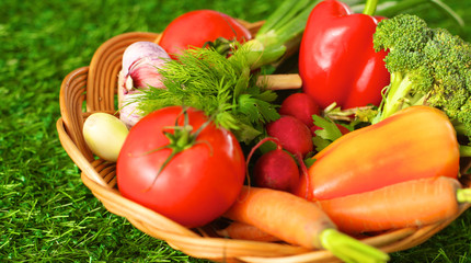 Fresh vegetables in a plate on the grass. Healthy food. Diet