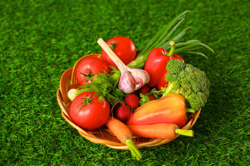 Fresh vegetables in a plate on the grass. Healthy food. Diet