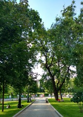 Fototapeta na wymiar Alexandrovsky garden near the Moscow Kremlin..