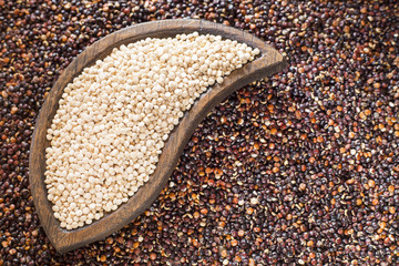 Black and white quinoa seeds - Chenopodium quinoa