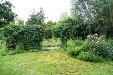 Gartentor bewachsen,green, natur, baum, wald, pflanze, landschaft, garden, blatt, ackerbau, busch, feld, gras, moos, vineyard, grape, sommer, laub, blume, abstrakt,