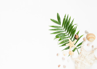 Summer vibes. Tropical palm leaf, seashells and starfish. Flat lay, top view.