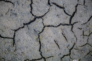 texture potreskatsya earth concept does not grasp the moisture