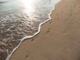  beach and tropical sea