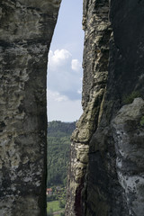Landscape with trees in Saxon Switzerland near Bastei in summer on a sunny day