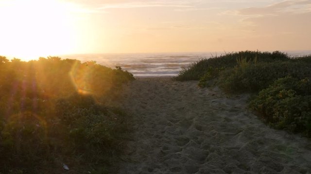 Sunrise Over Beach Dune with Flare on the left