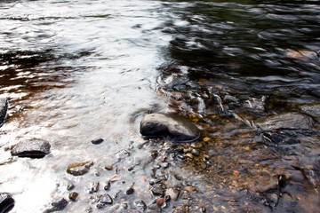 The view from the shore to the water surface of the river and not large stones are straight at the shore.