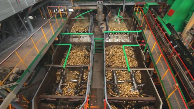 Sugar processing factory machine. Food processing industry. Washing machine at processing factory. Sugar beets washing in factory line. Food processing plant