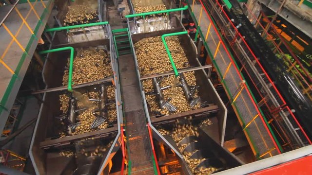 Food processing equipment. Sugar factory process. Sugar beets washing machine. Processing plant. Food processing machine. Agricultural industry. Vegetable processing plant