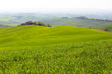 Typical Tuscan landscape