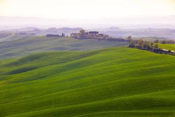 Fototapeta premium Typical Tuscan landscape