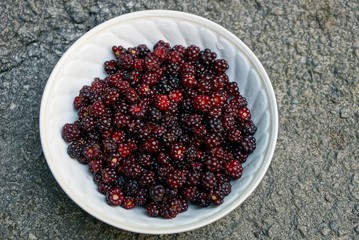 Белая миска с красной ежевикой на асфальте