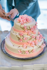 Obraz na płótnie Canvas wedding cake cutting the wedding cake