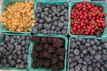 Berry boxes