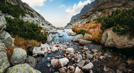 Fototapeta na wymiar Mountain creek in High Tatras panorama view