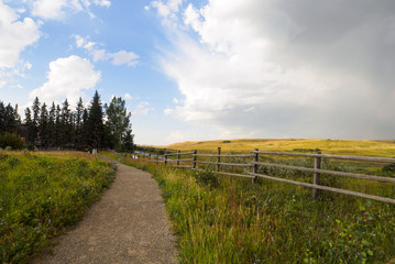 Alberta Ranch pathway with a rain cloud blowing into the blue sky 