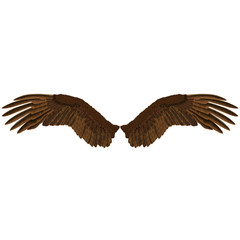Eagle's wings
