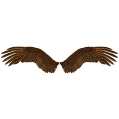 Eagle's wings