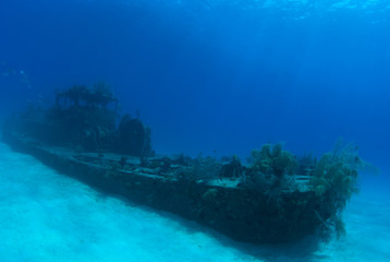 Naklejka na ściany i meble The wreck of the Doc poulson in Grand Cayman is an artificial reef and is now home to much coral and fish life. The little sunken vessel is a popular attraction for adventurous scuba divers