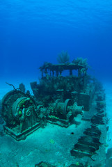 The wreck of the Doc poulson in Grand Cayman is an artificial reef and is now home to much coral...