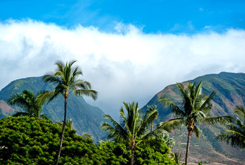 Fototapeta na wymiar Oahu island, Hawaii