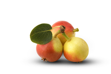 Pere isolate su sfondo bianco