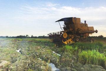 Fototapeta premium A close up shot of tractor at farmland.