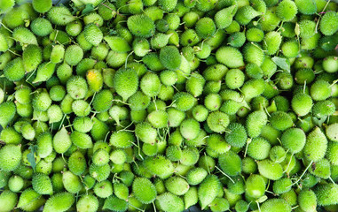 Green lychees background