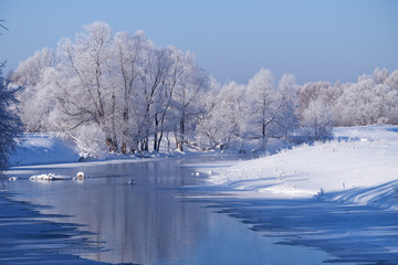 Altai river Talitsa with with couple of swans and reflection of willow trees covered by hoarfrost in water in winter
