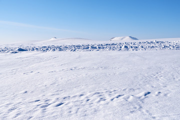 Fototapeta na wymiar Altai plain winter landscape with snow field under blue sky