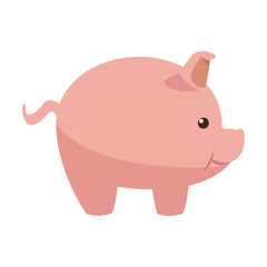 pink piggy safety money bank concept