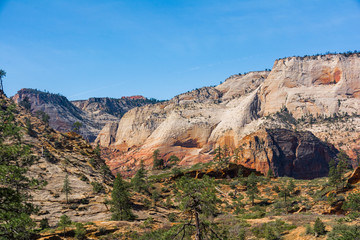 Zion National Park Overlook Trail Canyon