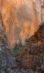 Zion National Park Canyons Rock face