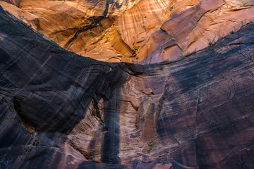 Zion National Park Canyons Rock face