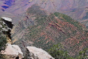 Grand Canyon View
