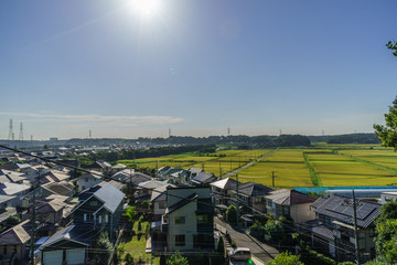 Obraz premium 秋の田園風景